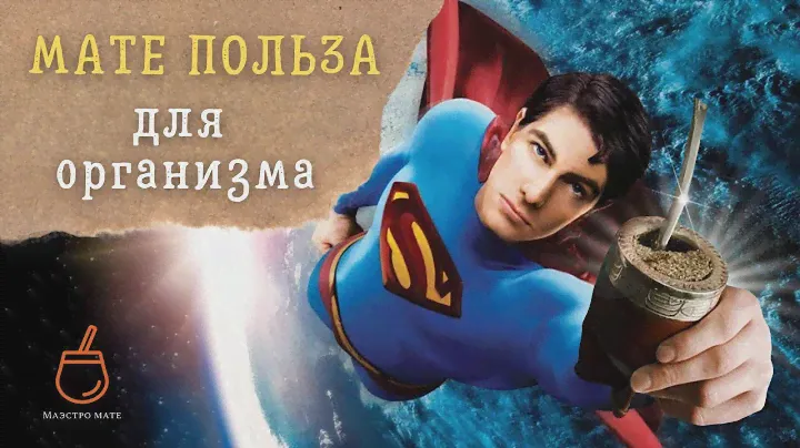 Польза  йерба мате | Научные исследования