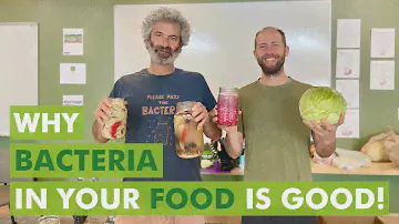 Wild Fermentation Expert Sandor Katz Busts the Myths about Fermentation!