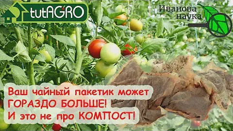 ЧЕРНЫЙ ЧАЙ - ЗАМЕНА "ХИМИИ". Ваш пакетик с чаем МОЖЕТ ГОРАЗДО БОЛЬШЕ!