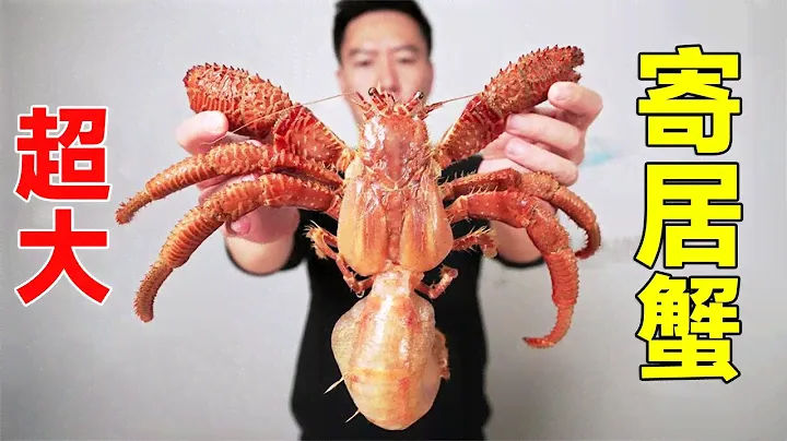 Непатон Паньчао настоящий краб-отшельник мясная креветка Сайлонг! Всё в заднице-это сущность.