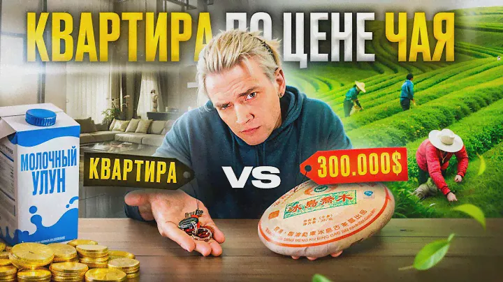 Чай по цене квартиры! Разрушители чайных мифов.