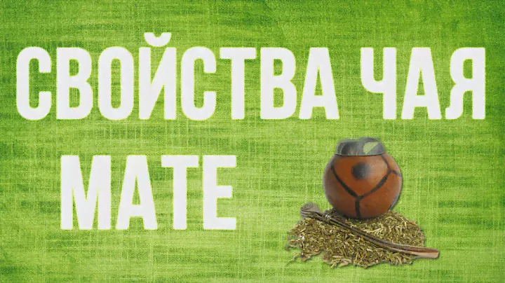 Свойства чая мате