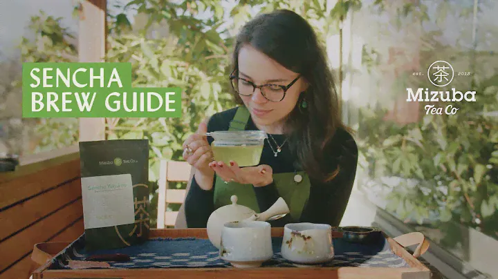 How To Brew Sencha Green Tea