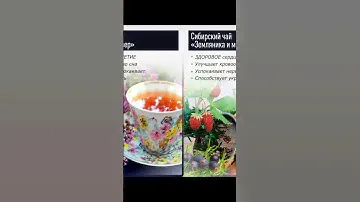 Чайный набор Секреты Сибирского чая, 40 пирамидок / Здоровье алтая