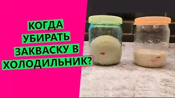 Когда убирать 😎 закваску в холодильник? Чтобы она сохраняла свою силу и активность!