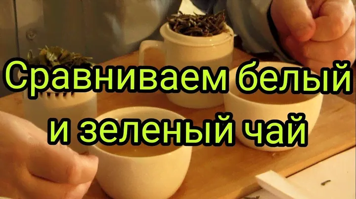 Сравниваем белый и зеленый чай. Профессиональная дегустация чая.