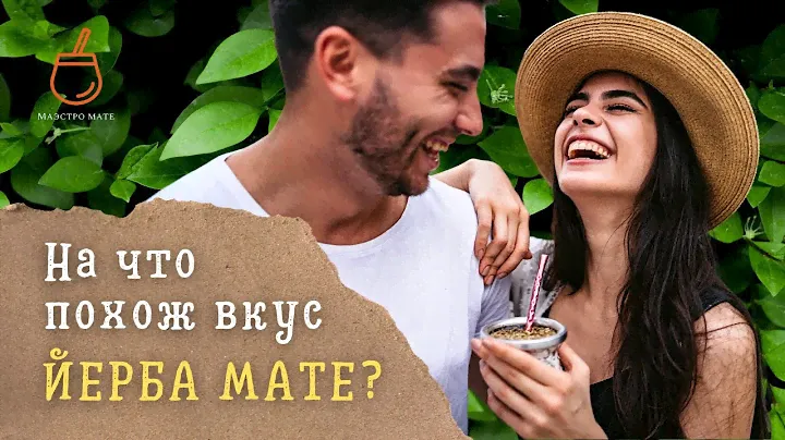 На что похож вкус йерба мате? Первое знакомство с напитком
