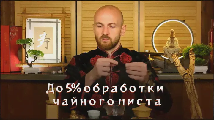 Зелёный чай. Этапы производства и польза самого популярного чая в Китае.