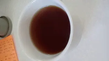 Greenfield currant and mint tea from Siberia !