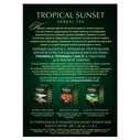 Чай Greenfield Tropical Sunset травяной в пирамидках, 20х1.8г
