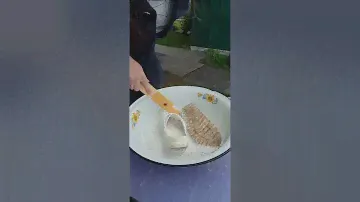 Кислородный отбеливатель