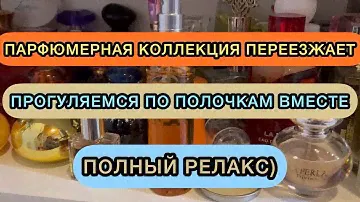 🔥 КОЛЛЕКЦИЯ ПАРФЮМЕРИИ | БЮДЖЕТНЫЕ И СЕТЕВЫЕ АРОМАТЫ | ПЕРЕЕЗД ПАРФЮМЕРИИ | ПАРФМАНЬЯК НА РЕЛАКСЕ😜